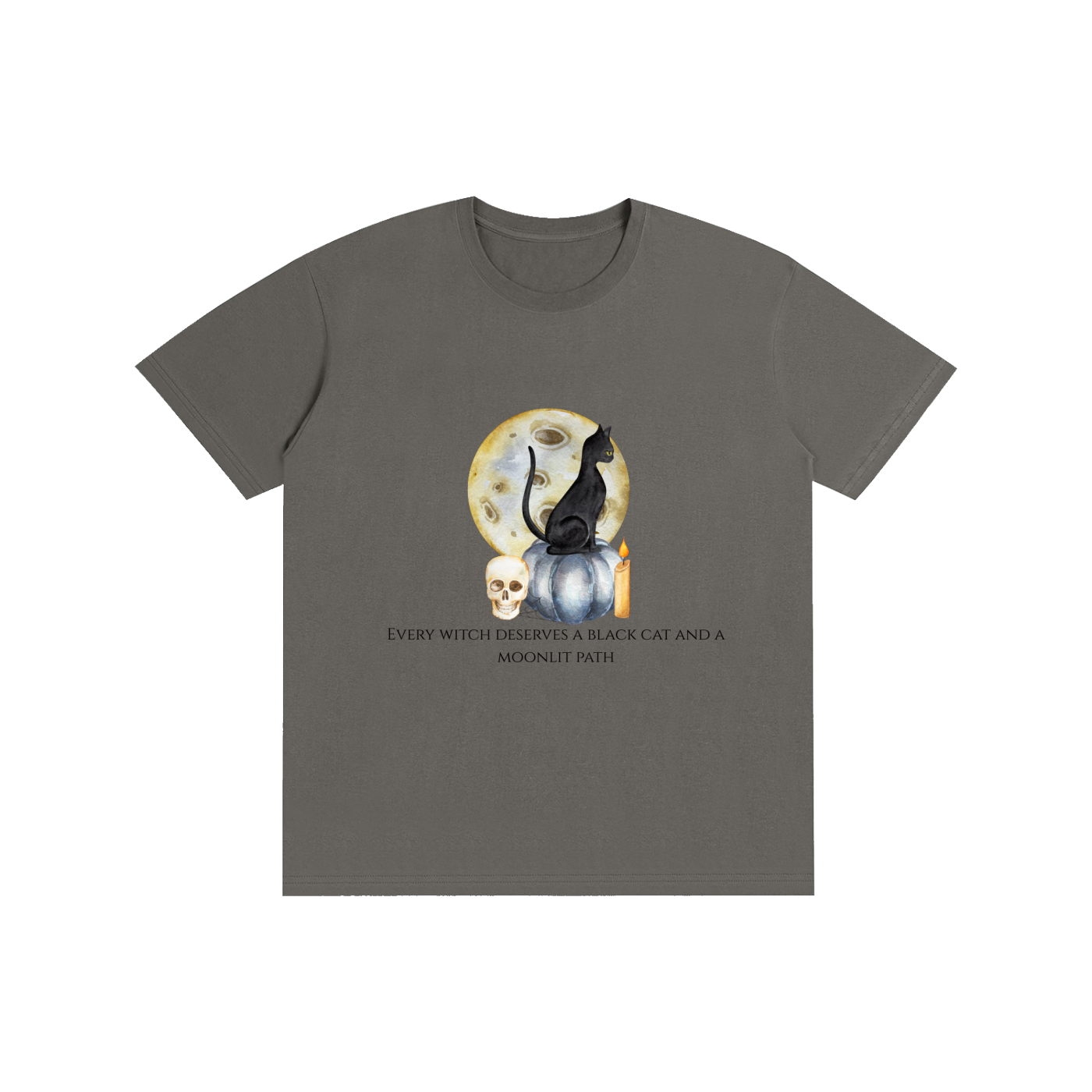 Every Witch Deserves a Black Cat T-Shirt