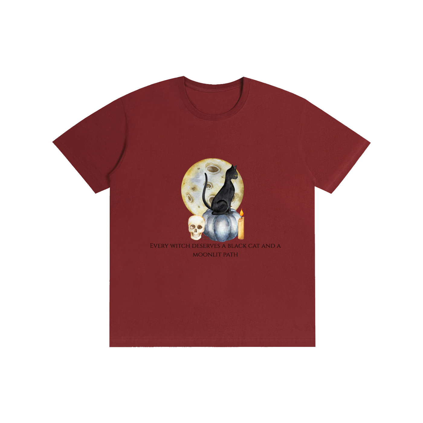 Every Witch Deserves a Black Cat T-Shirt