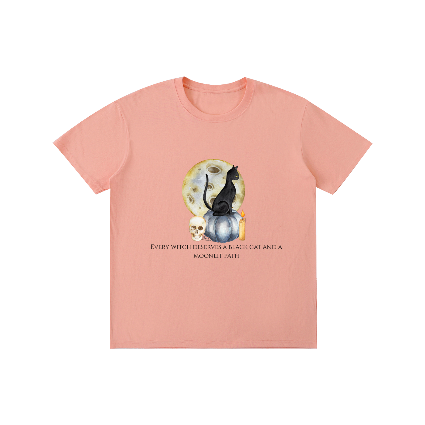 Every Witch Deserves a Black Cat T-Shirt