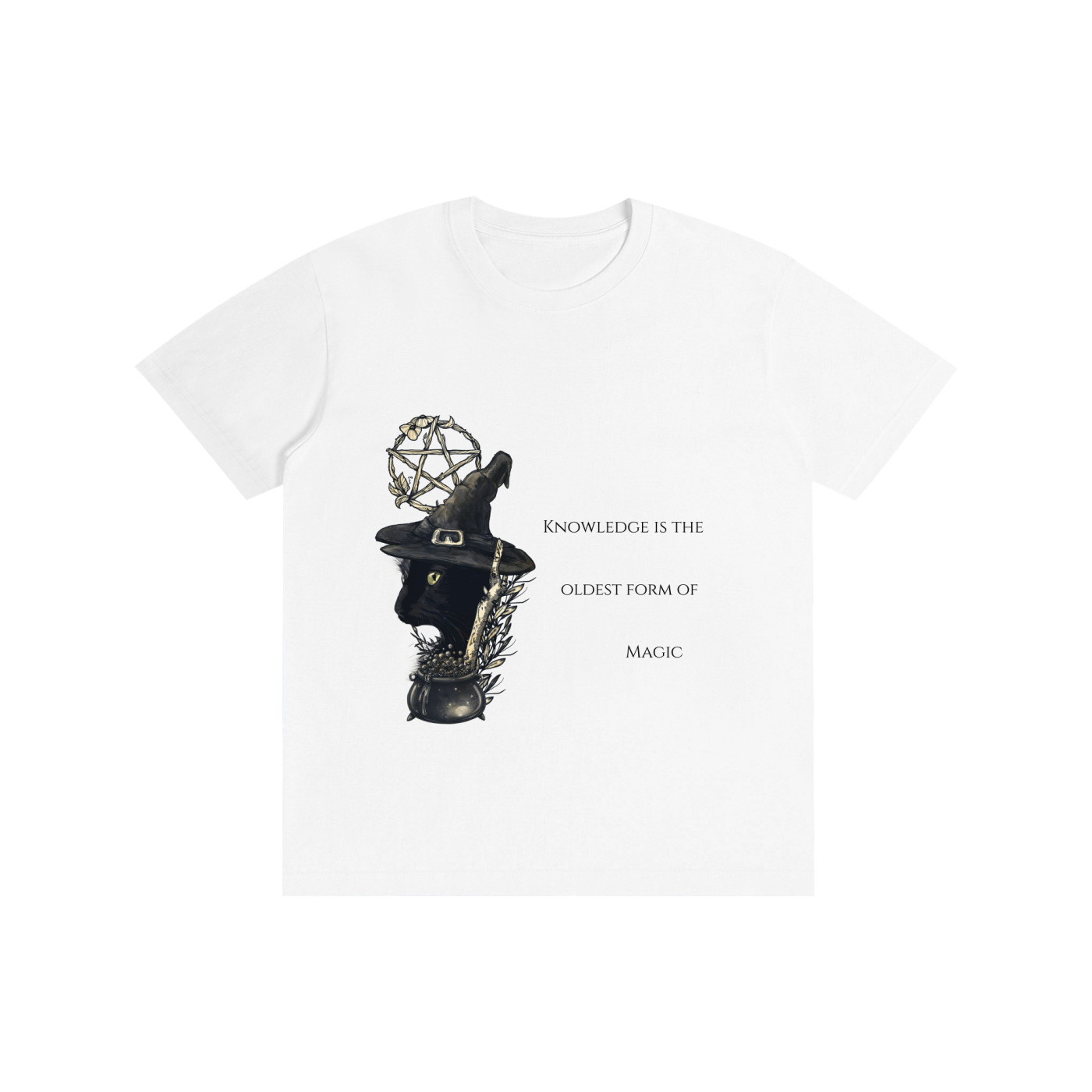 Knowledge is the Oldest Magic T-Shirt