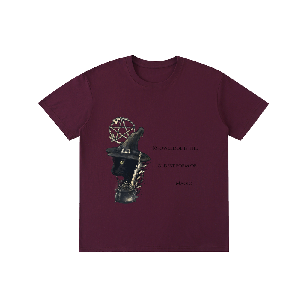 Knowledge is the Oldest Magic T-Shirt