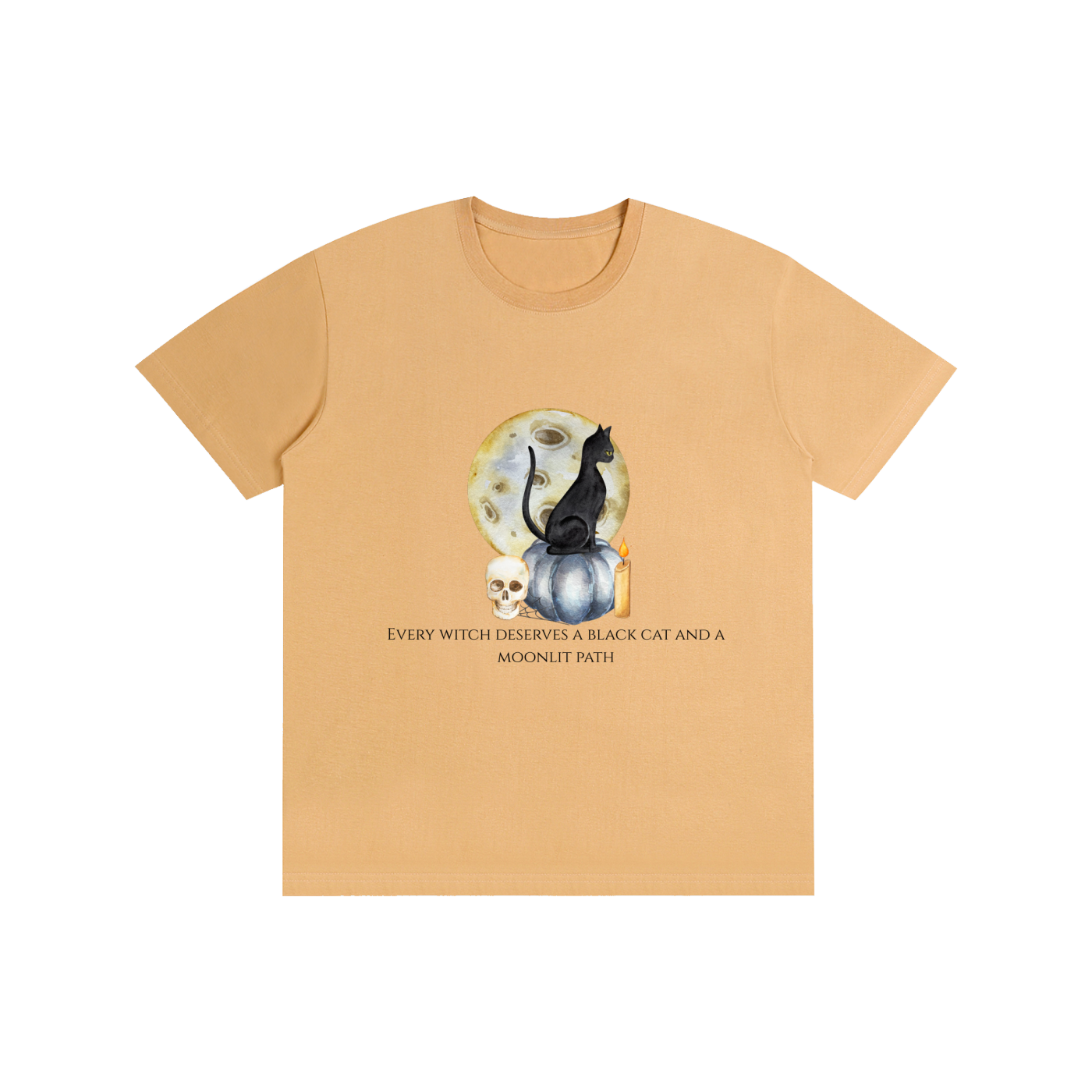 Every Witch Deserves a Black Cat T-Shirt
