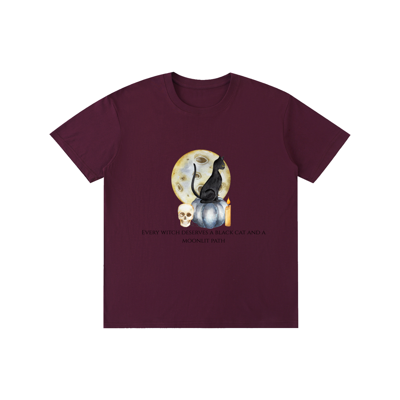 Every Witch Deserves a Black Cat T-Shirt