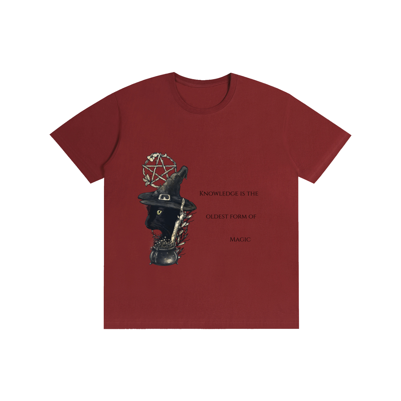 Knowledge is the Oldest Magic T-Shirt